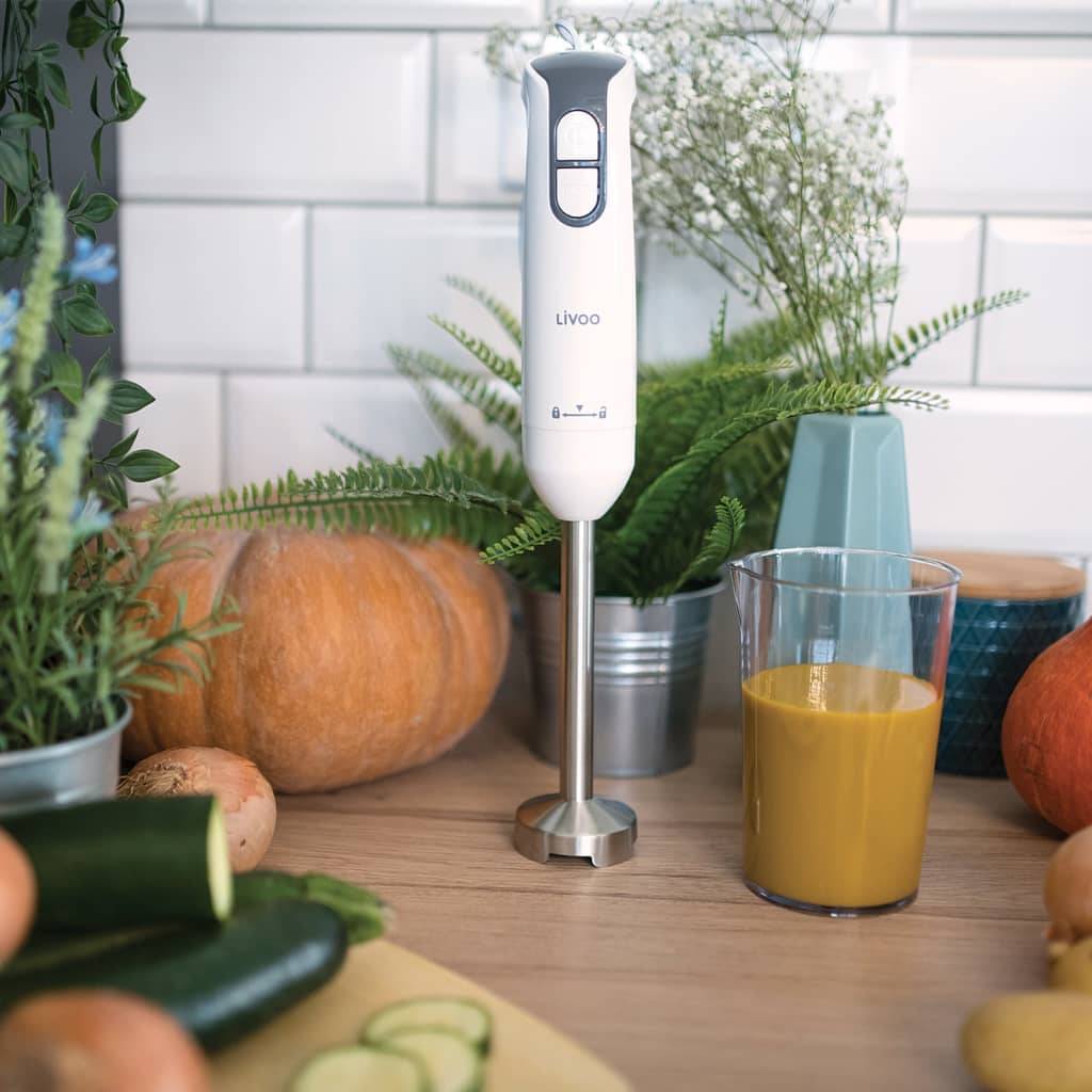 Mixeur plongeant blanc 400W-1