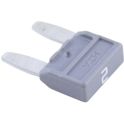 Un fusible gris de 2 ampères de taille ATO avec deux contacts métalliques, couramment utilisé dans les véhicules pour protéger les circuits électriques.