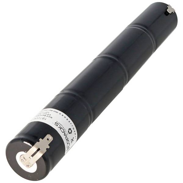 Batterie lumière de secours NiCd 4.8V 4500mAh L1x4 Mono D avec connecteur Faston 4.8mm remplace la batterie 4.8V