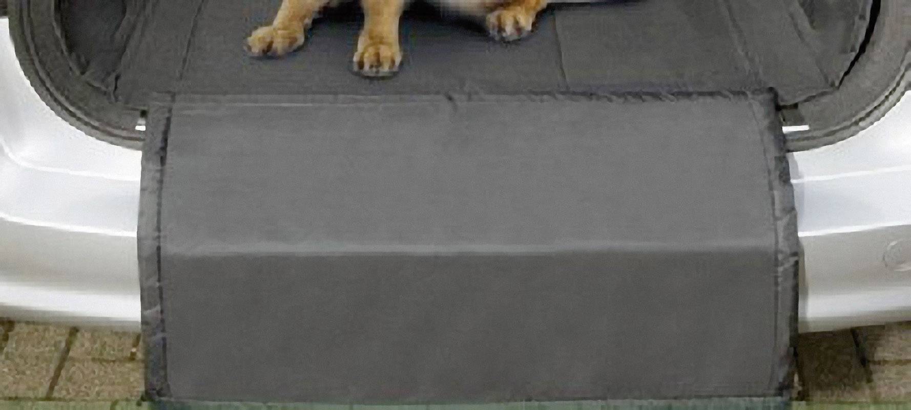 Une voiture grise avec le hayon ouvert, sur lequel est posé un tapis de protection noir. Un chien est couché dans le coffre.