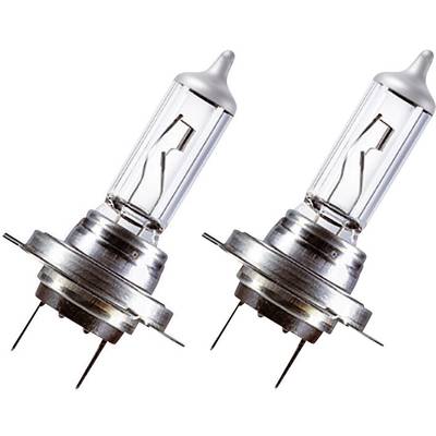 Deux lampes halogènes devant un fond blanc. Elles ont une base métallique et un globe en verre transparent avec un filament visible.