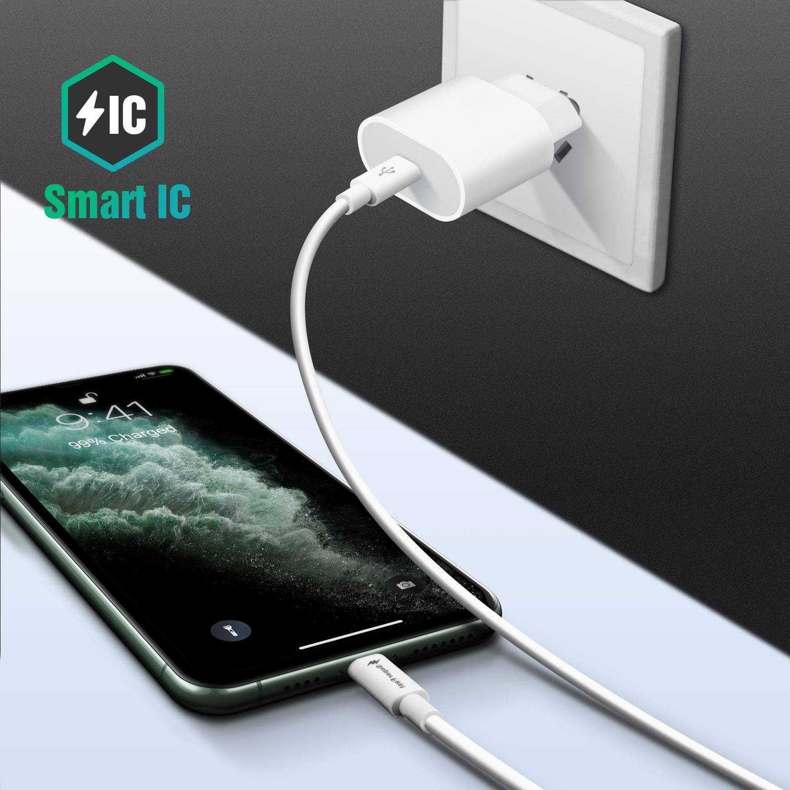 Chargeur pour iPhone / iPad USB-C 20W avec Câble Lightning Power Delivery-3
