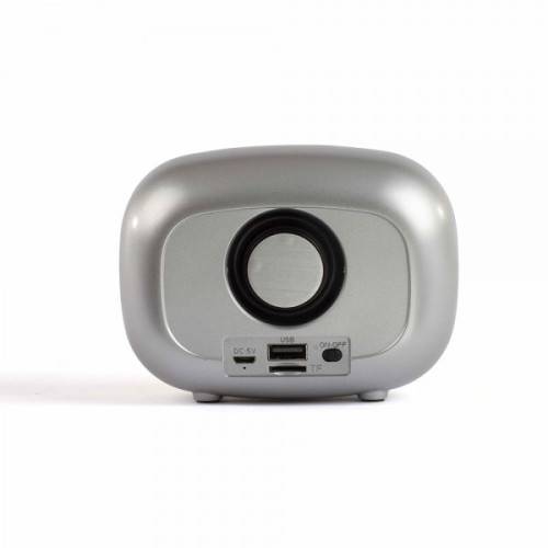 Radio FM et enceinte Bluetooth compacte silver-1