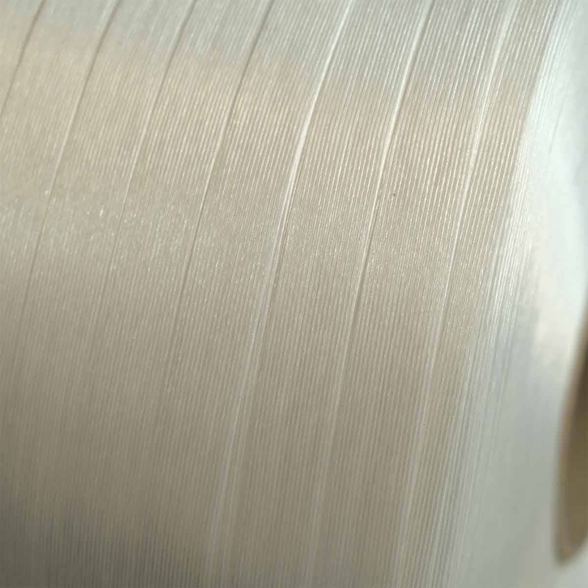 Feuillard polyester fil à fil 13 mm x 1100 m - Qualité PRO TECPLAST FF-3