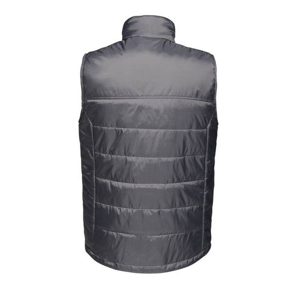 Bodywarmer isolant Regatta Professional SATAGE II Gris Foncé S-2