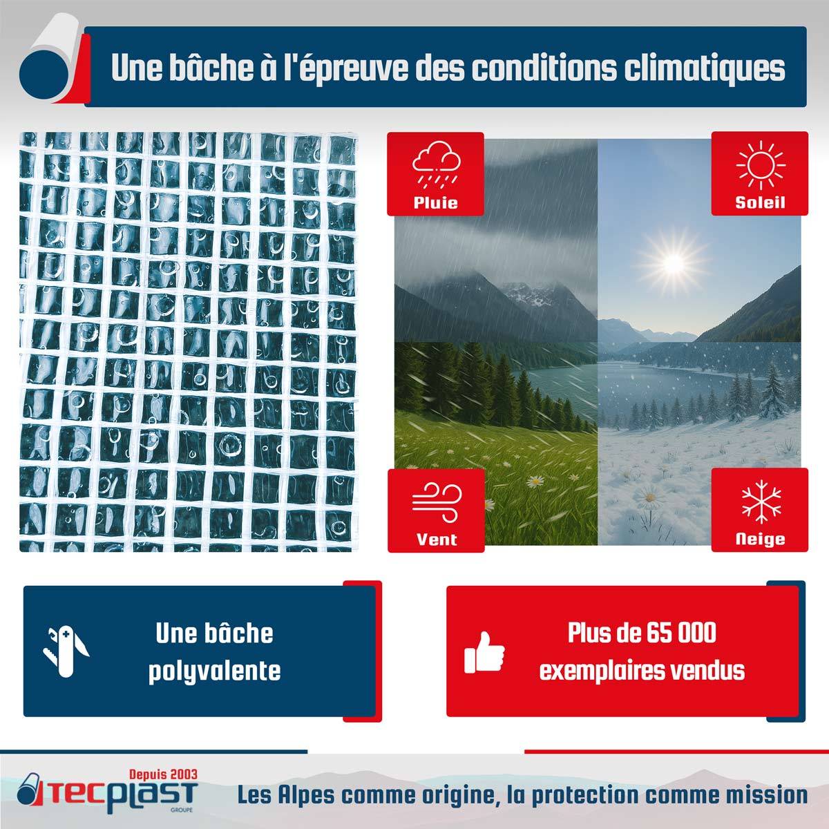 Bâche de chantier Tecplast tr170ch 2x3 m - transparente armée - haute qualité-2