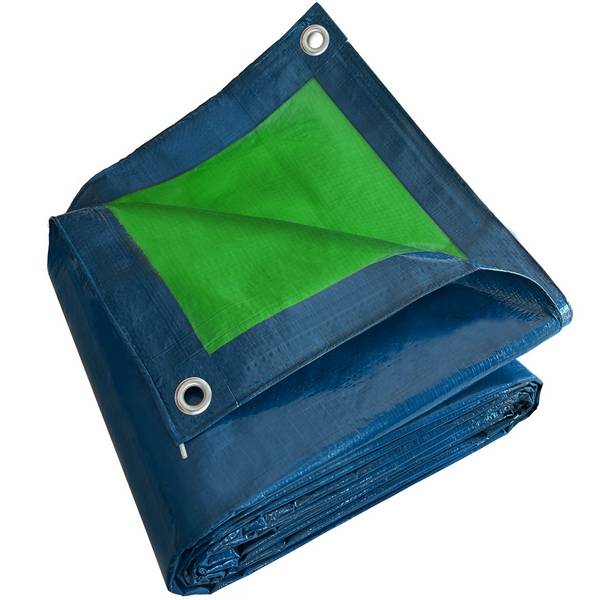 Bâche peinture Tecplast sr150pe 5x8 m - verte et bleue - haute qualité