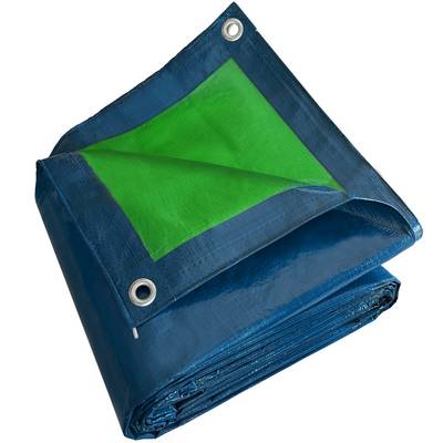 Bâche peinture Tecplast sr150pe 5x8 m - verte et bleue - haute qualité-0