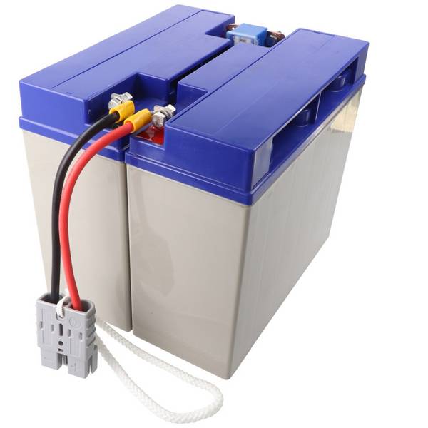 Batterie adaptée pour APC-RBC7, SU1000XLJ, SU1400, DLA1500I avec câble et fiche