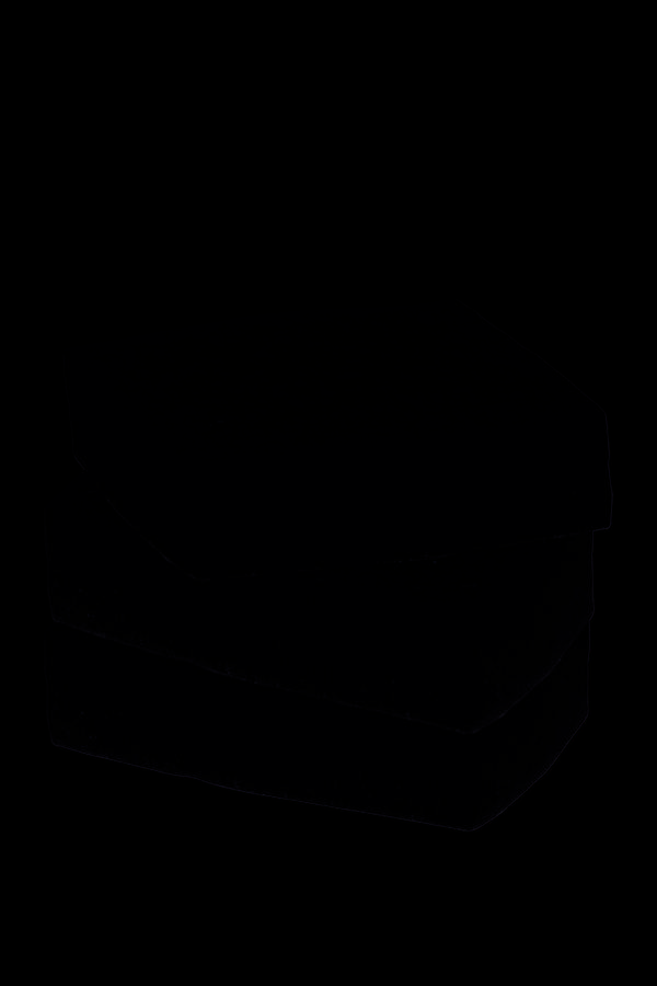 ÉPONGE BORDÉE VG N°2 - x3