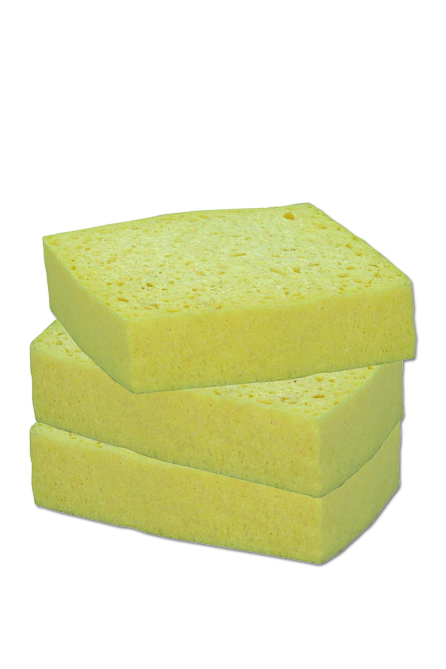 ÉPONGE BORDÉE VG N°2 - x3-0