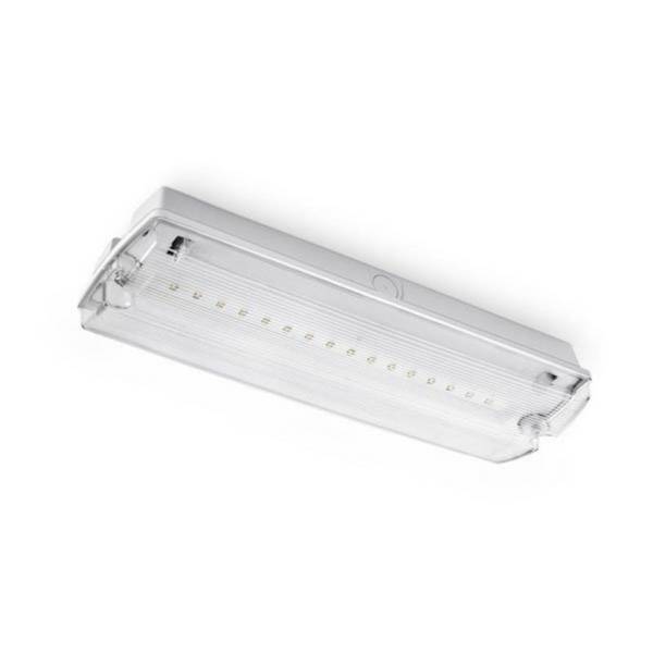 Bloc de secours BAES LED Batterie 4 Pictogrammes 4W IP65 - SILAMP
