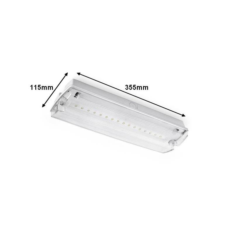 Bloc de secours BAES LED Batterie 4 Pictogrammes 4W IP65 - SILAMP-4
