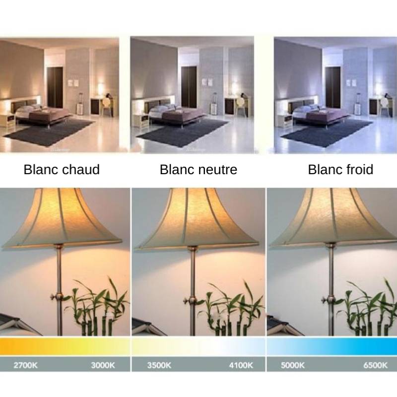 Ampoule LED E27 25W 220V G140 300° Globe - Blanc Froid 6000K - 8000K - SILAMP-3