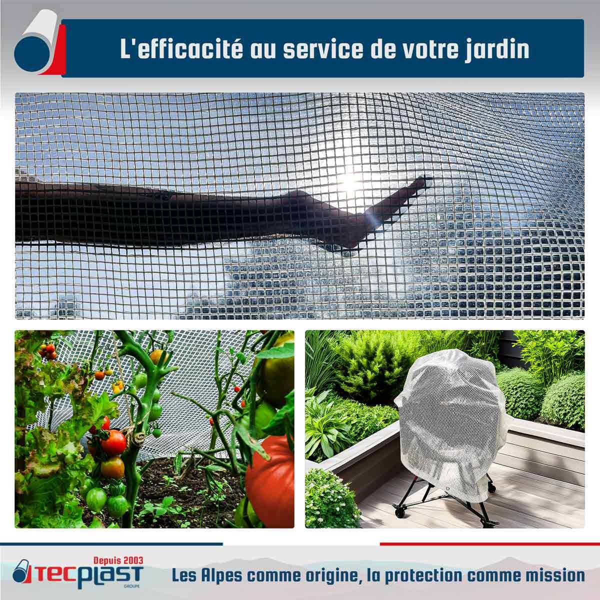 Bâche jardin Tecplast tr170jd 3x4 m - transparente armée - haute qualité-4