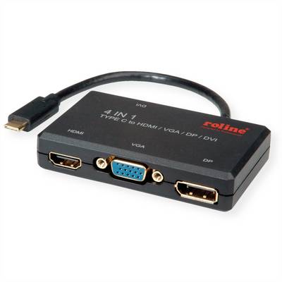 ROLINE Adaptateur USB Type C - VGA / DVI / HDMI / DP-0