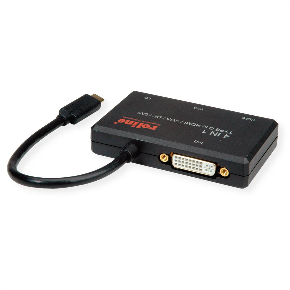 ROLINE Adaptateur USB Type C - VGA / DVI / HDMI / DP-2
