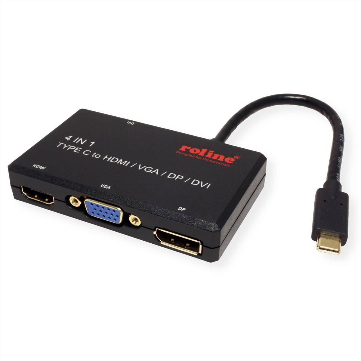 ROLINE Adaptateur USB Type C - VGA / DVI / HDMI / DP-4