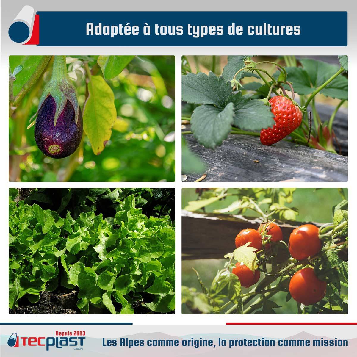 Bâche Serre 3x7 m - TECPLAST 150SE - Haute Qualité - Made in France-3