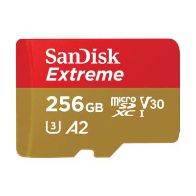 SanDisk Extended Capacity SD (MicroSDHC) Carte microSD 256 GB v30 Video Speed Class, UHS-I U3, Class 10-0