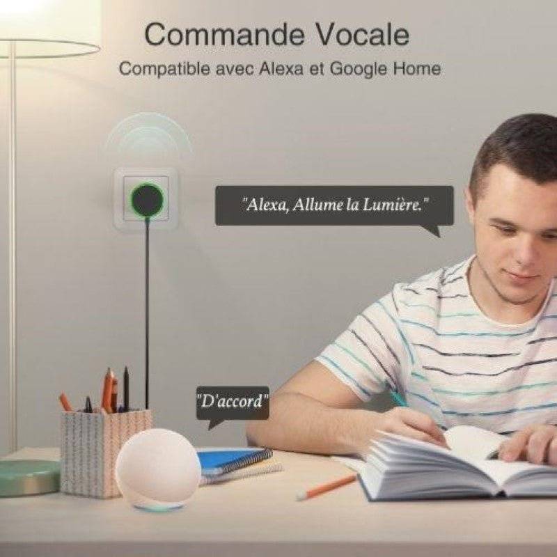 Prise Connectée Intelligente WiFi 2.4GHz 16A Blanche + 2 Ports USB 2.1A (Lot de 2) - SILAMP-4