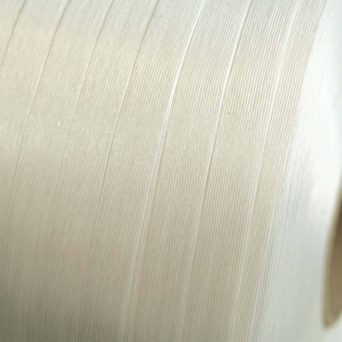 Pack 2 Feuillards fil à fil 13 mm x 1100m + 250 Boucles OFFERTES - TECPLAST PFF2-2
