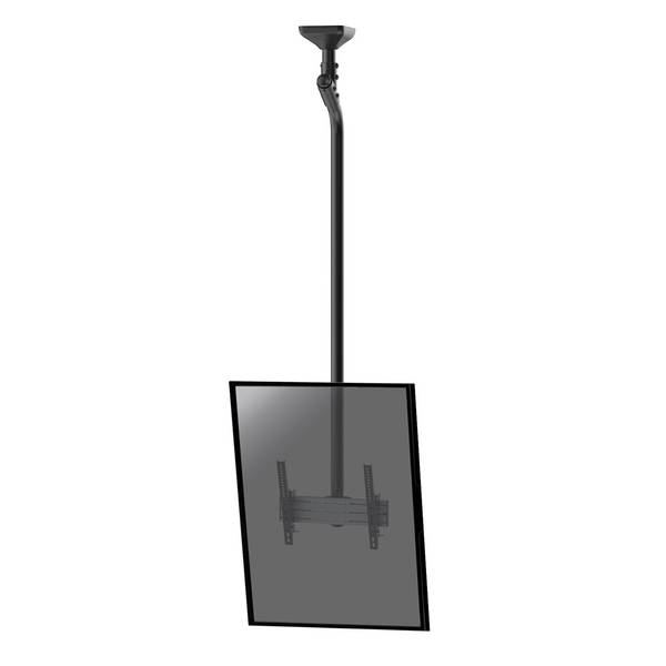Support plafond inclinable pour 1 écran portrait 43''-75'' - Hauteur 225cm