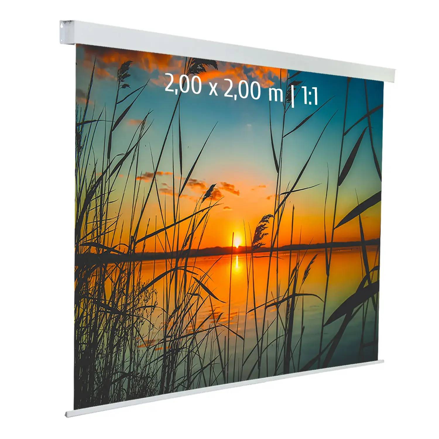 Ecran de projection motorisé 2,00 x 2,00m - Format 1:1 - Toile blanche-0