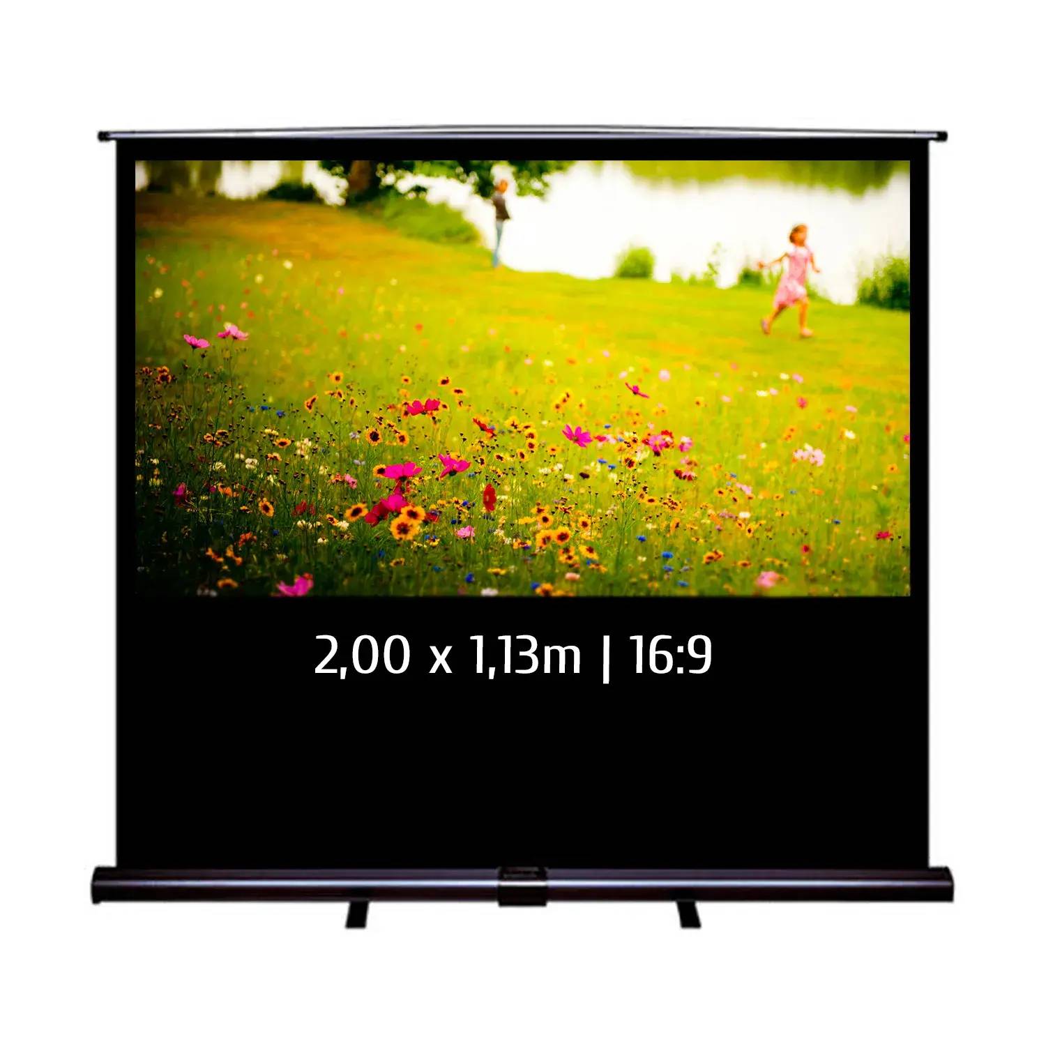Ecran de projection transportable Pull Up 2,00 x 1,13m - Format 16:9-0