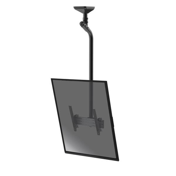 Support plafond inclinable pour 1 écran portrait 43''-75'' - Hauteur 175cm