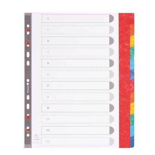 Intercalaire A4+ carte lustrée colorée Exacompta 12 onglets neutres multicolores - 1 jeu-0