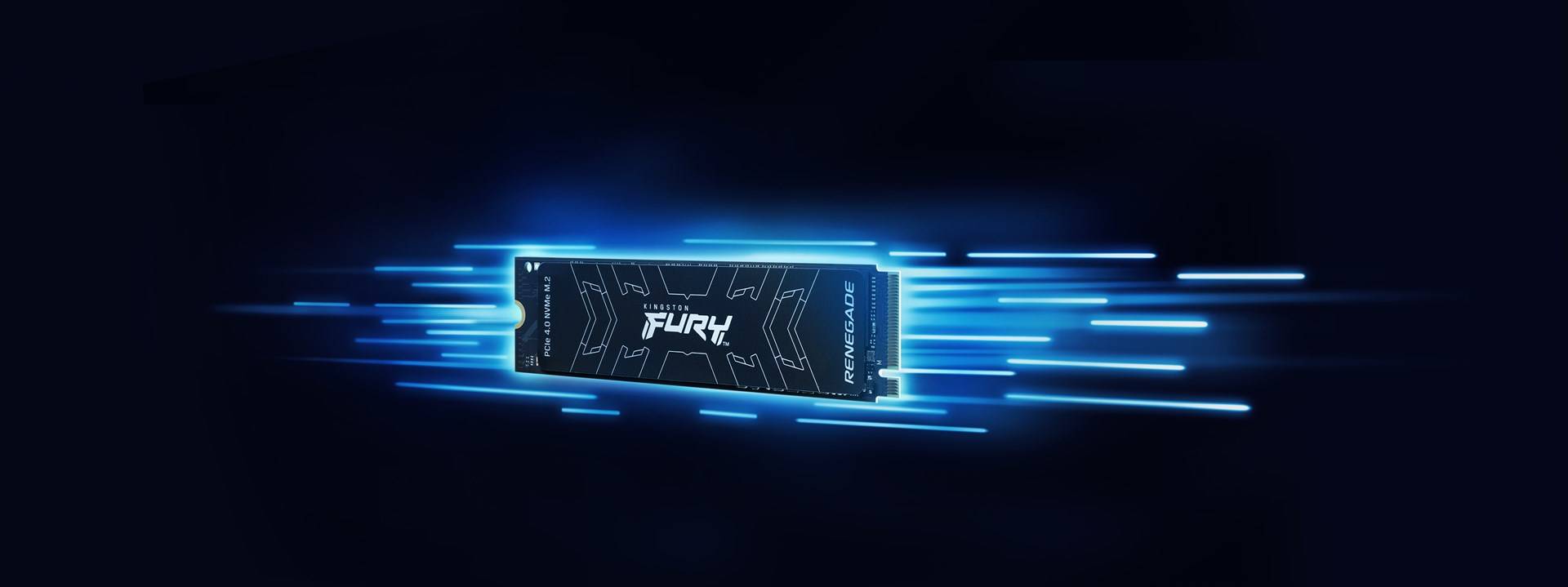 Kingston Fury Renegade 1 TB SSD interne M.2 PCIe NVMe 4.0 x4 SFYRS/1000G-3
