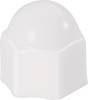 Caches de protection Korrex pour écrous à 6 pans TOOLCRAFT 889682 Matière plastique M 5