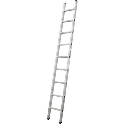 Échelle en aluminium à dix échelons, adaptée aux utilisations intérieures et extérieures.