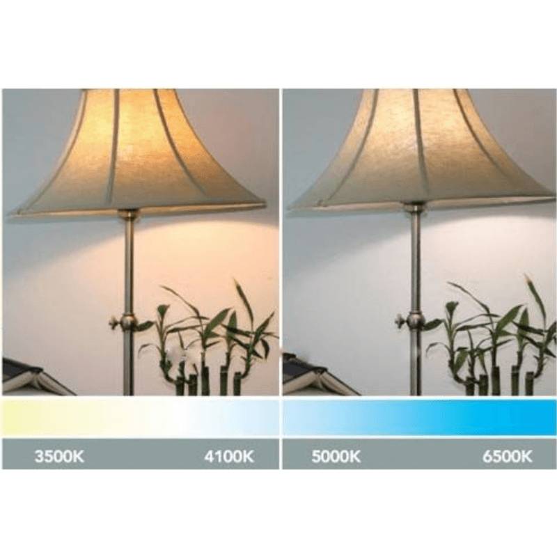 Pack de 10 - Ampoule LED GU4 / MR11 4W 12V - Blanc Froid 6000K - 8000K - SILAMP-1