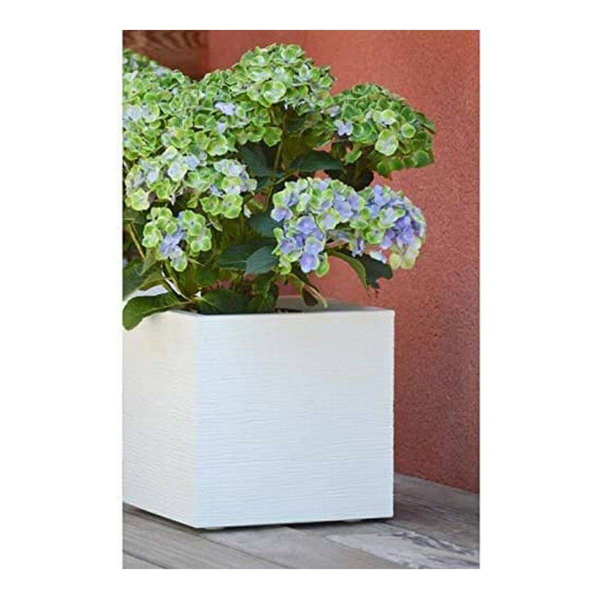 Jardinière Carré Graphit Up Zone De Rétention D'eau Intégrée - Eda-1