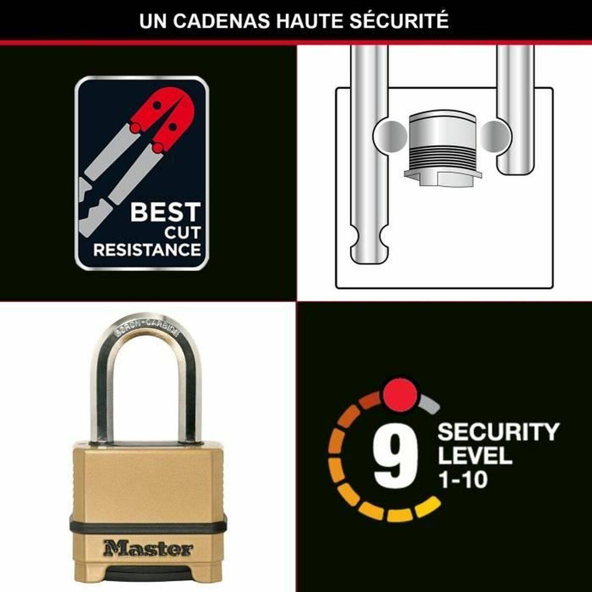 MASTER LOCK Cadenas Haute Sécurité [Combinaison] [Zinc] [Anse L] [Extérieur] M175EURDLF-3