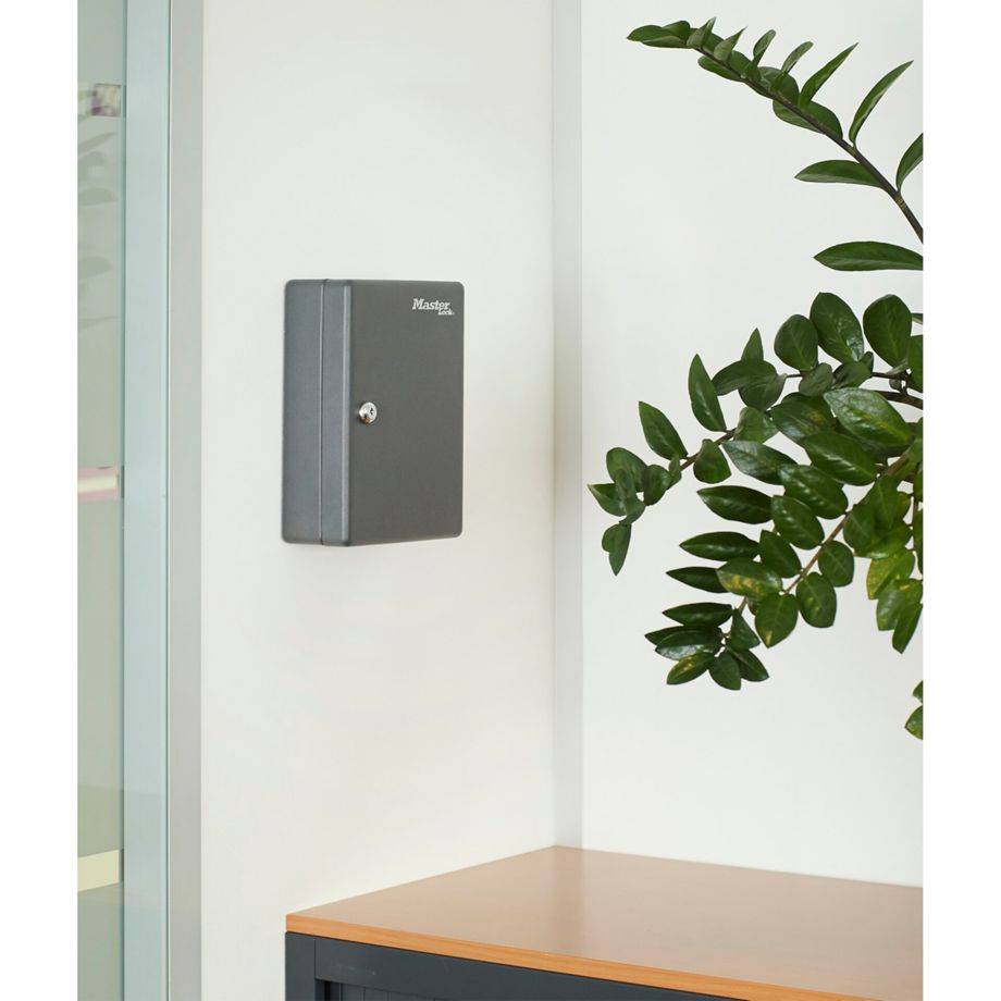 MASTER LOCK Armoire à Clés [Fixation Murale] [25 Crochets] KB-25ML - 25 porte-clés inclus avec étiquettes-1