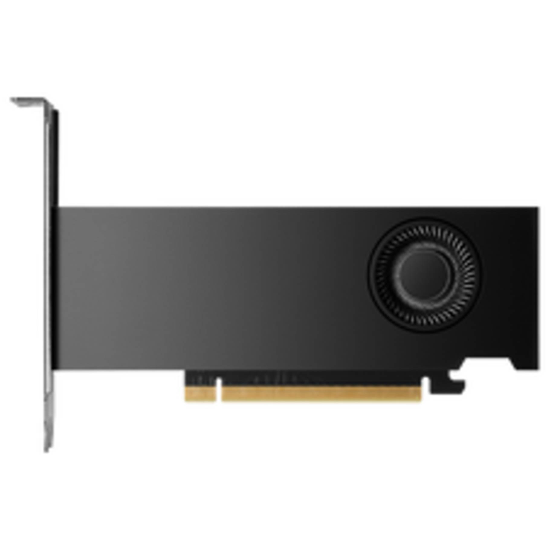 NVIDIA RTX 2000 Ada Retail-2