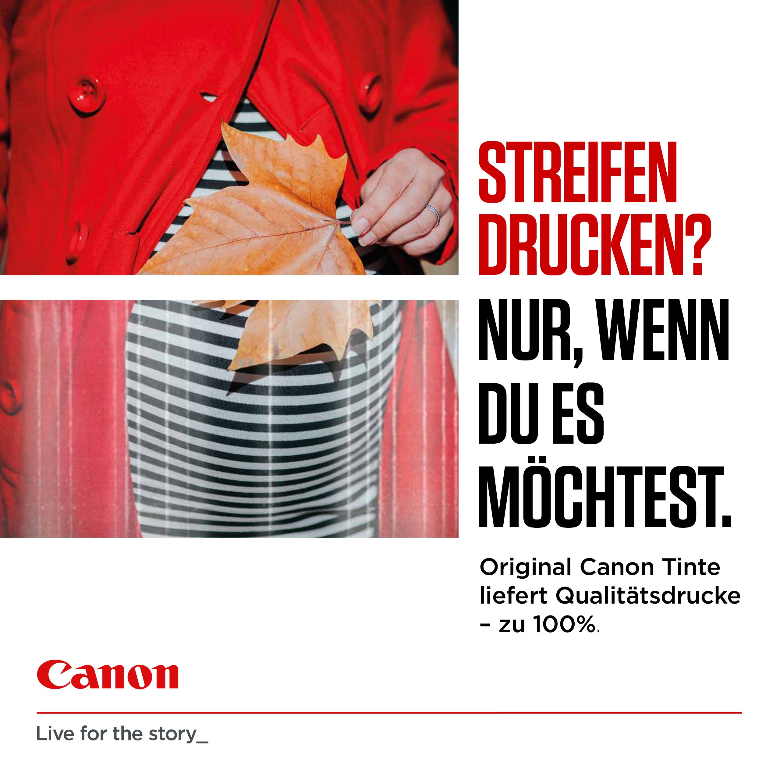 CANON Cartouche dencre noir PG-595XL-1