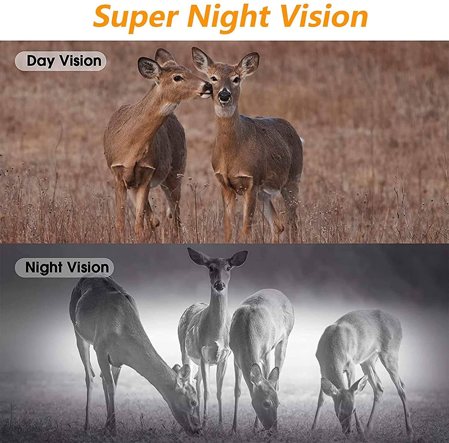 Caméra de Chasse et 4K Compatible Android IOS Infrarouge Waterproof 30 MP + SD 64Go YONIS-3