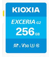 Kioxia LNEX2L256GG4 Speicher-0