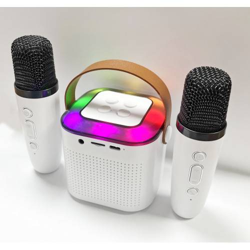 Mini-enceinte Bluetooth KARAOKE 2 micros-1