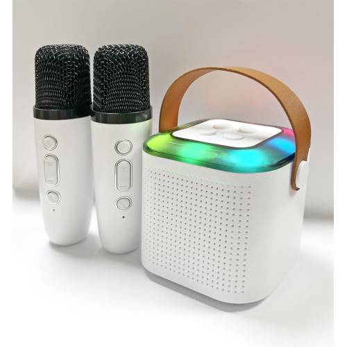 Mini-enceinte Bluetooth KARAOKE 2 micros-2