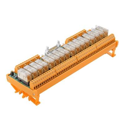 Weidmüller Carte relais avec indicateur LED 1 pc(s) RSM-16 115VAC/DC 1CO Z 115 V DC/AC-0
