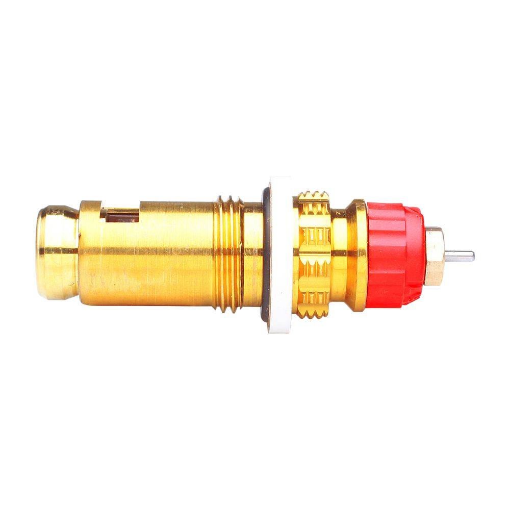 Insert thermostatique Buderu pour tête RA2990-RA2920-RAW-RAX-1