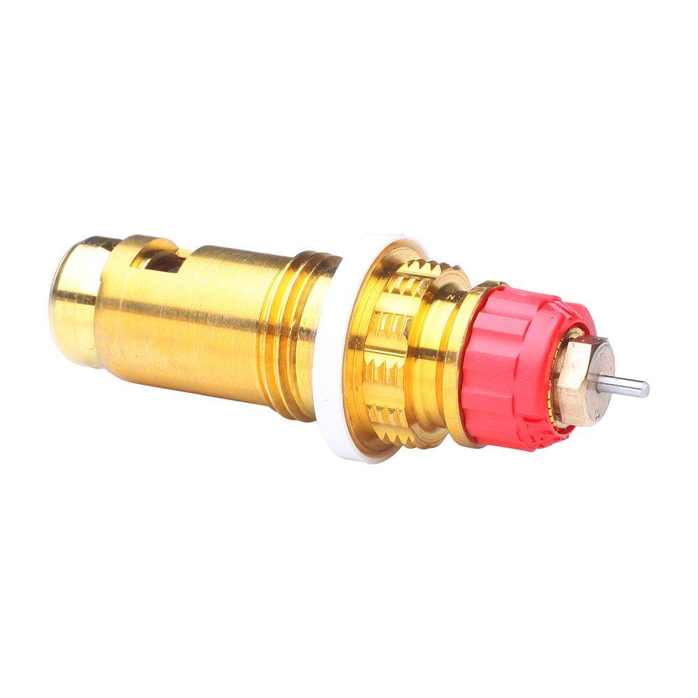 Insert thermostatique Buderu pour tête RA2990-RA2920-RAW-RAX-2