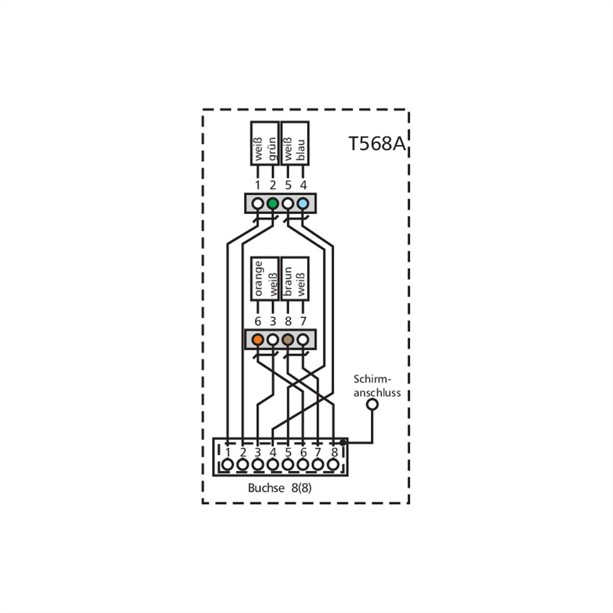 METZ CONNECT E-DAT Module IP44 boîtier apparent non équipé-1