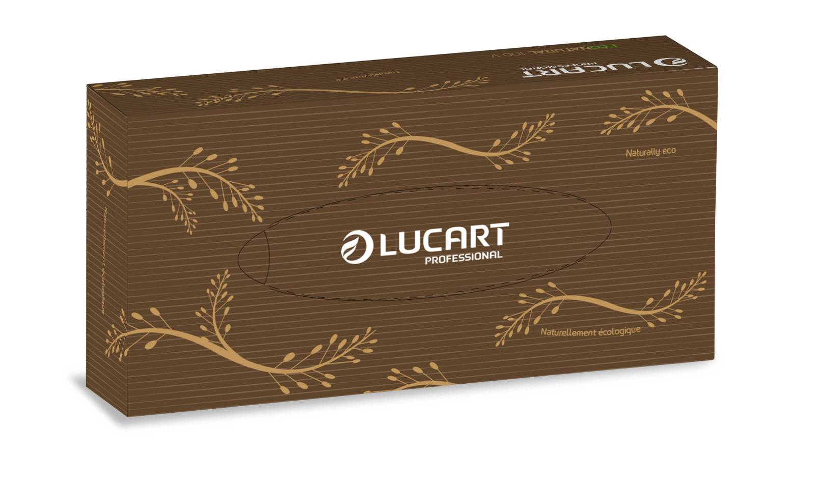 Carton de 40 boites de 100 mouchoirs econatural - LUCART - Mouchoir-0