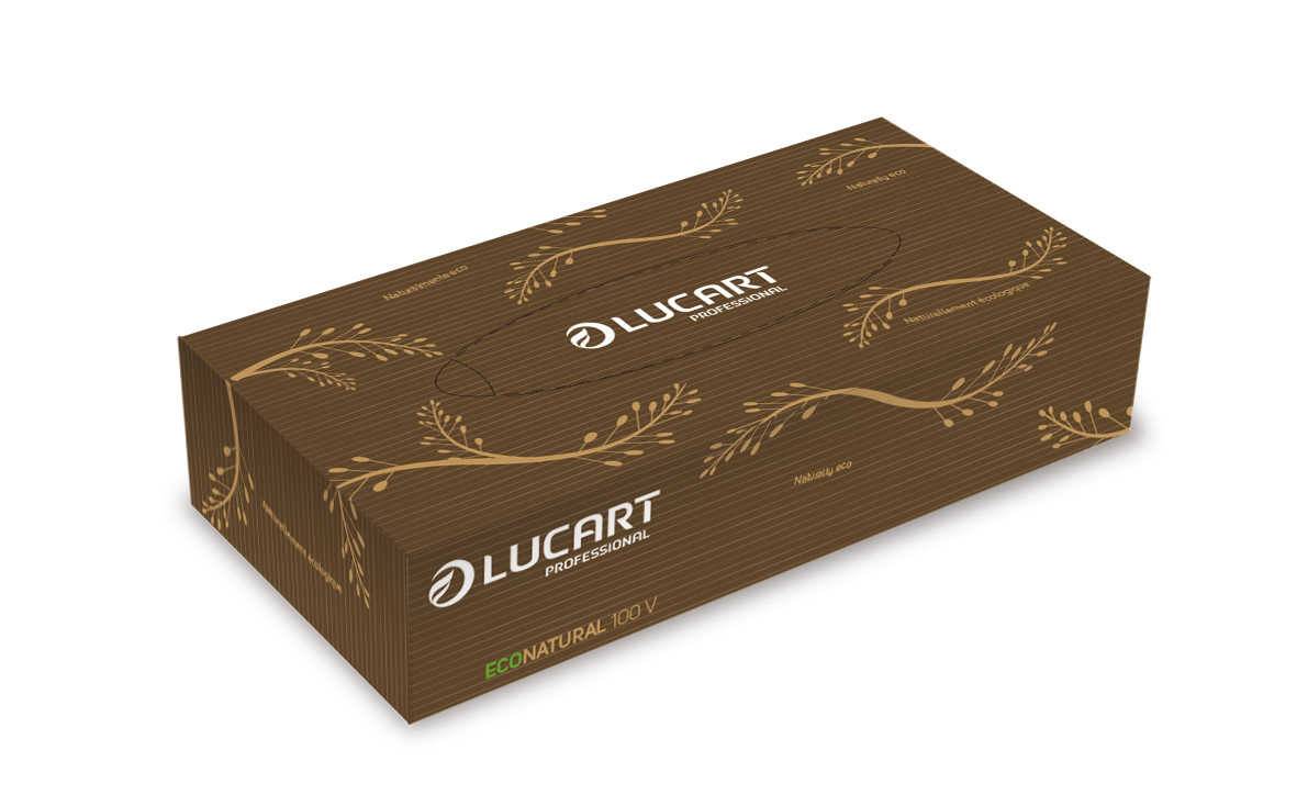 Carton de 40 boites de 100 mouchoirs econatural - LUCART - Mouchoir-1